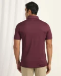 polo_wild_ginger_stripe_t_shirt_zeta-ET003303E2-image1